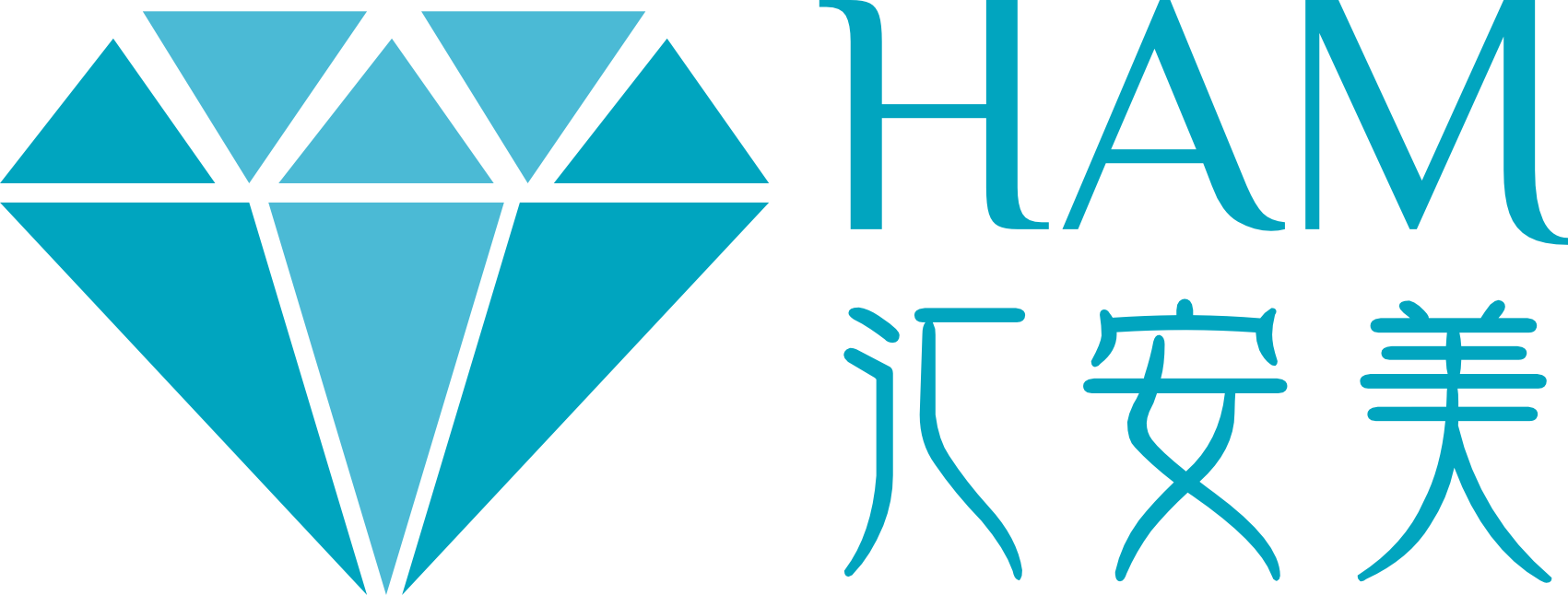 四川汇安美医疗科技有限公司