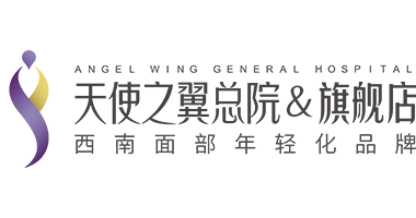 天使之翼LOGO总院加旗舰店.png
