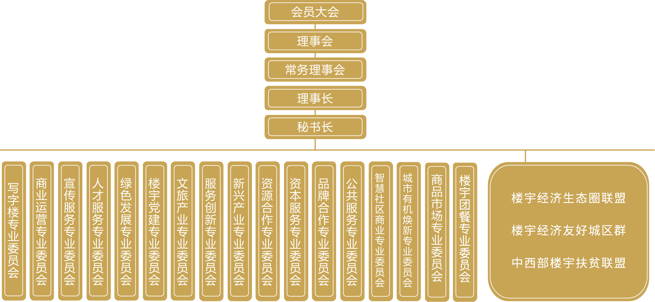 组织架构
